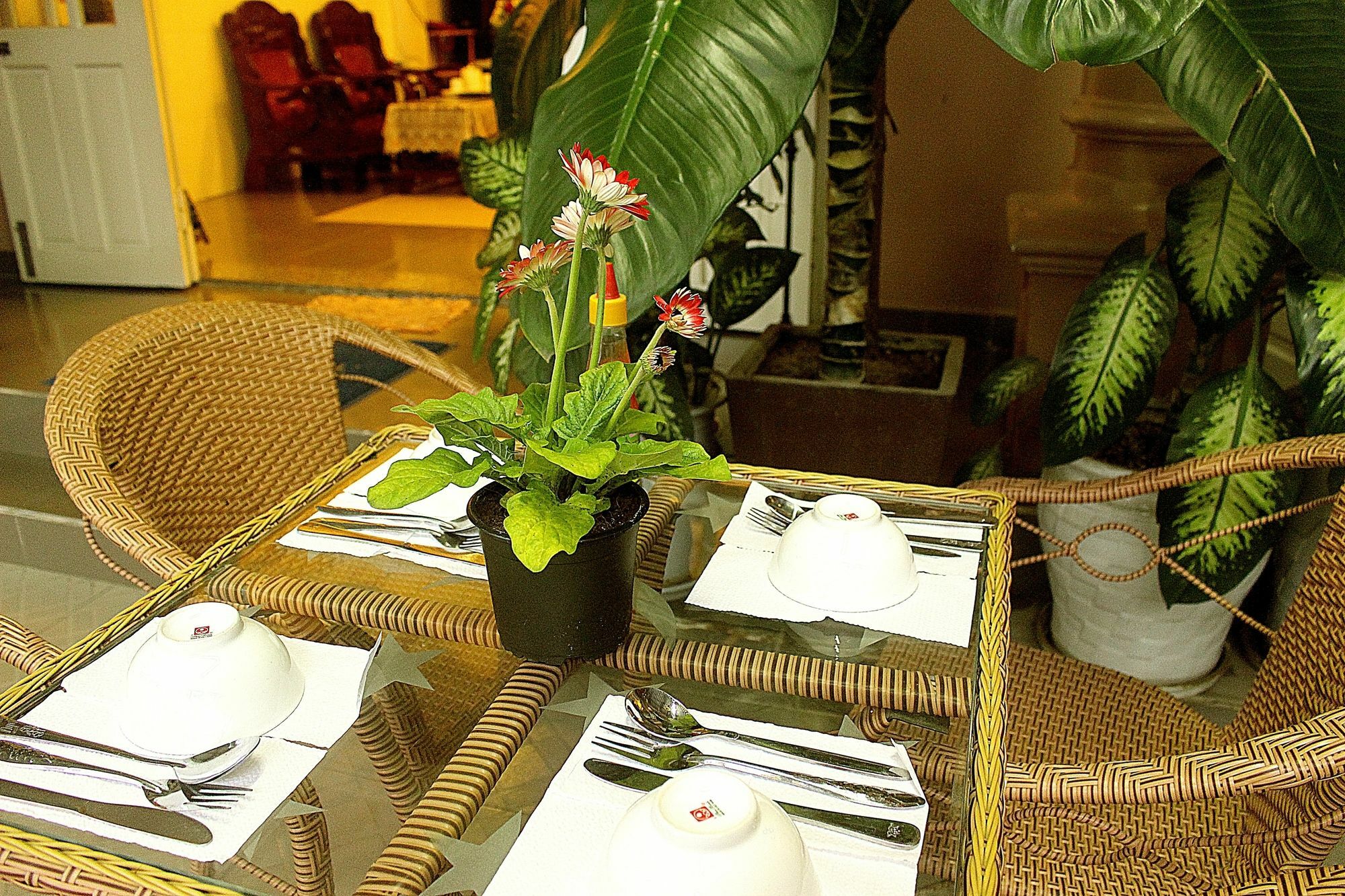 Quy Long Homestay Hoi An Dış mekan fotoğraf