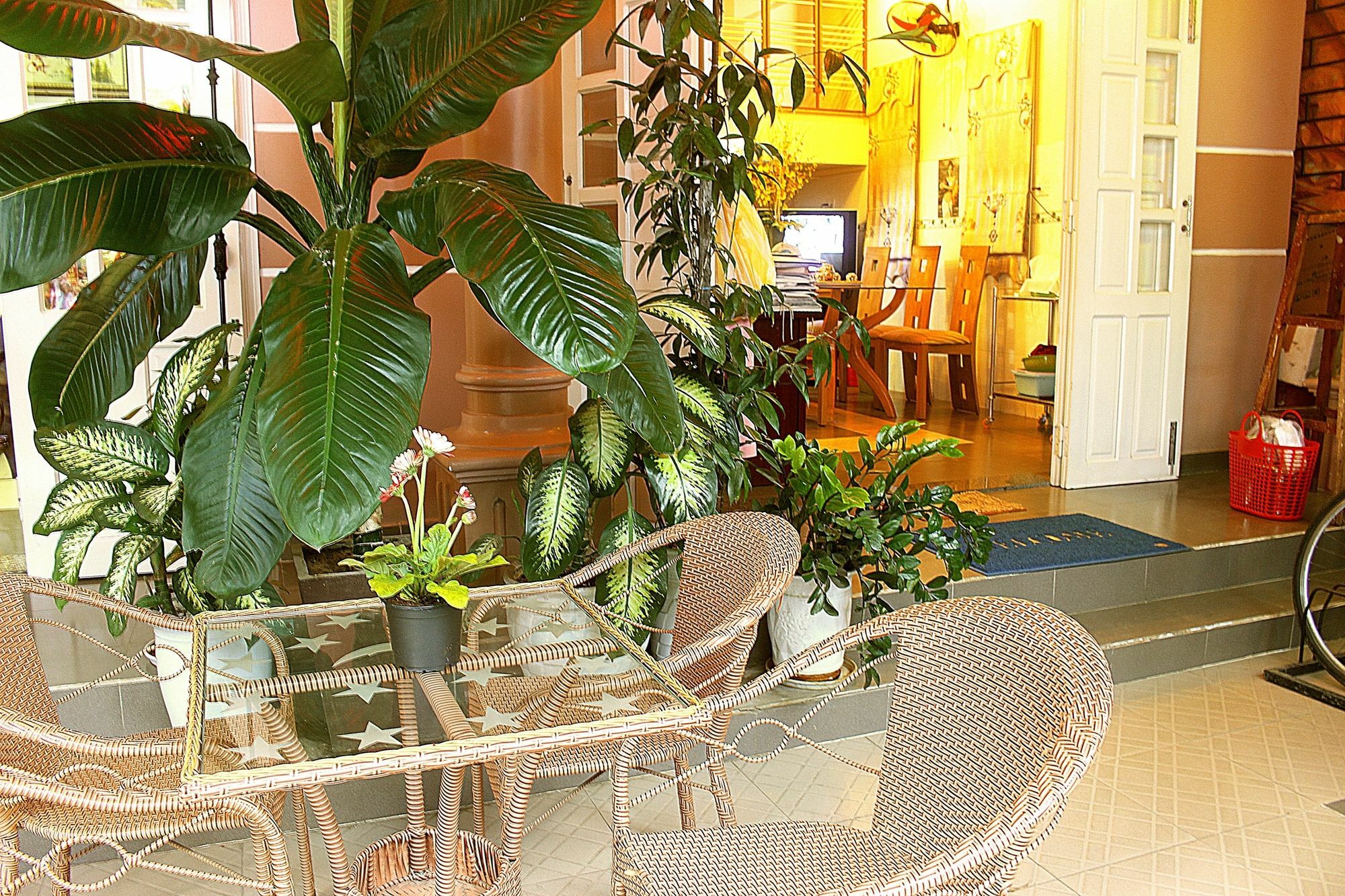 Quy Long Homestay Hoi An Dış mekan fotoğraf
